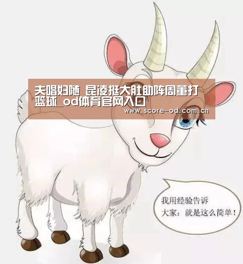 od体育官网入口