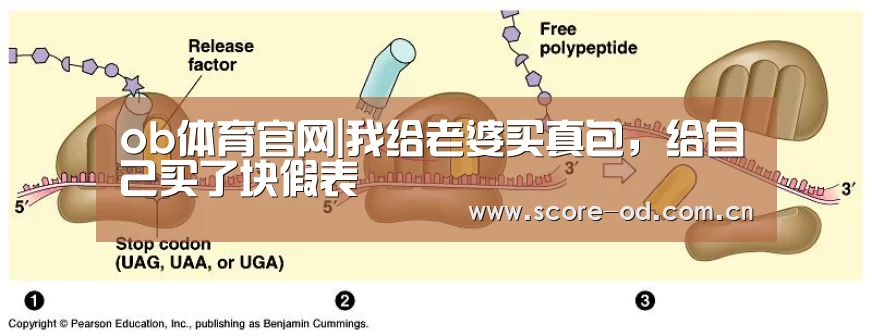 ob体育官网|我给老婆买真包,给自己买了块假表(图3) ob体育官网