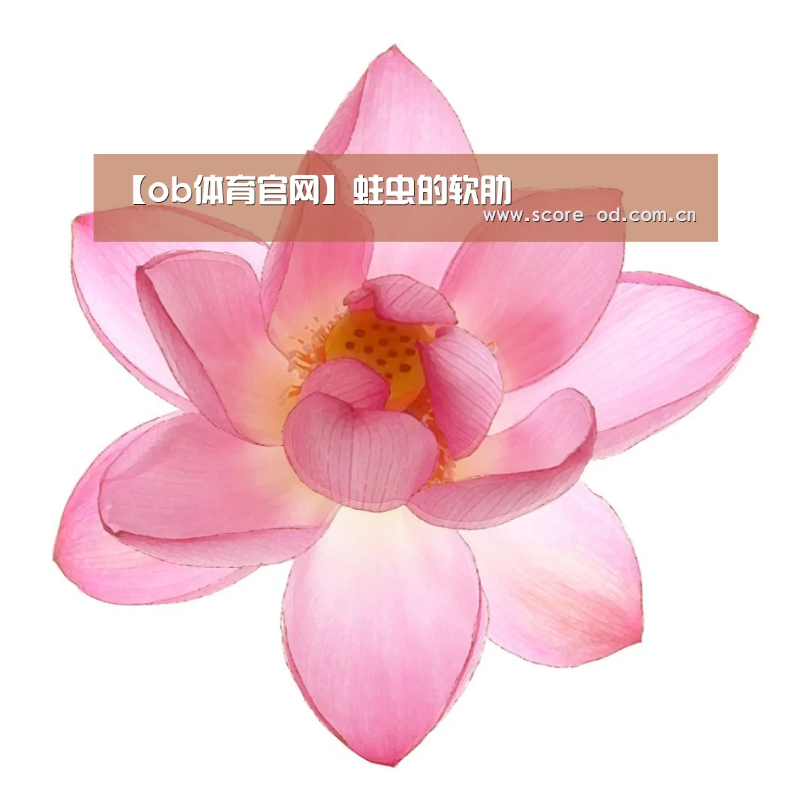 【ob体育官网】蛀虫的软肋(图3) od体育官网入口