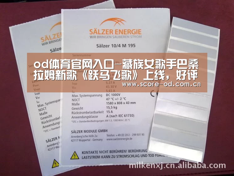 od体育官网入口-藏族女歌手巴桑拉姆新歌《跃马飞歌》上线,好评不断(图2) ob体育官网