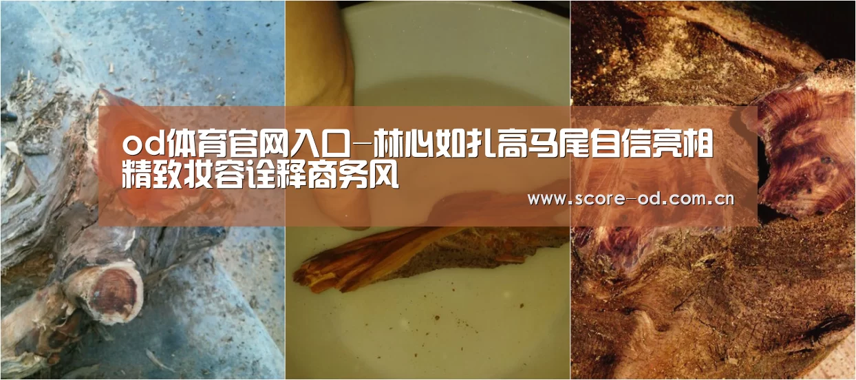od体育官网入口-林心如扎高马尾自信亮相 精致妆容诠释商务风(图1) od体育官网入口